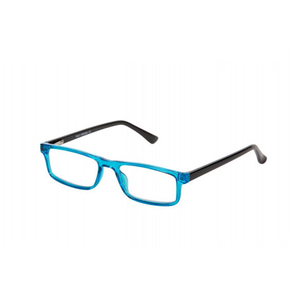 Γυαλιά Πρεσβυωπίας Anti Blue Light +1.50 Blue Black